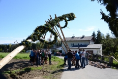 50er Feier & Maibaum